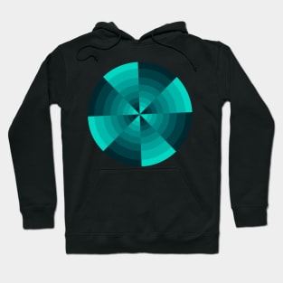 Cool Color Wheel Hoodie